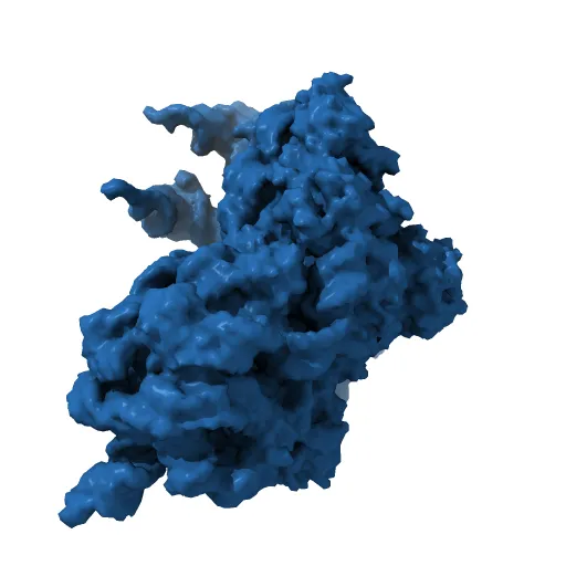 30S RIBOSOMAL SUBUNIT — Фото 4 из 4