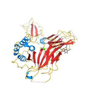 The structure of IL-13 in complex with IL-13Ralpha2