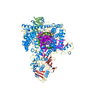 Crystal structure of Acidaminococcus sp. Cpf1 in complex with crRNA and target DNA