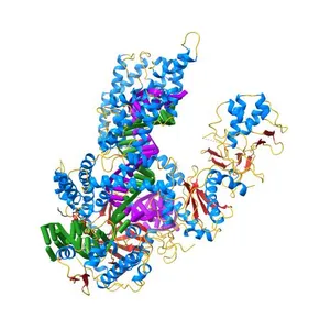 AsCpf1(E993A)-crRNA-DNA ternary complex