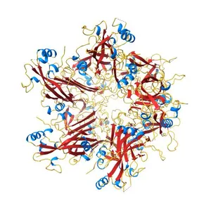 Crystal structure of Human Papillomavirus Type 59 L1 pentamer