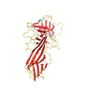 Structure of active beta-arrestin1 bound to a G protein-coupled receptor phosphopeptide