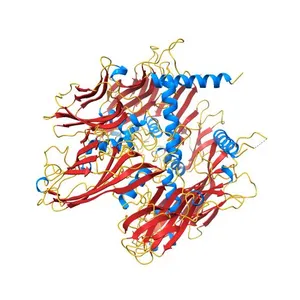 THE BACTERIOPHAGE PRD1 COAT PROTEIN, P3, IS STRUCTURALLY SIMILAR TO HUMAN ADENOVIRUS HEXON