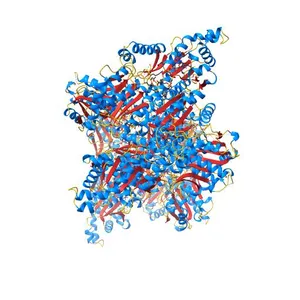 Human platelet phosphofructokinase in an R-state in complex with ADP and F6P, crystal form I