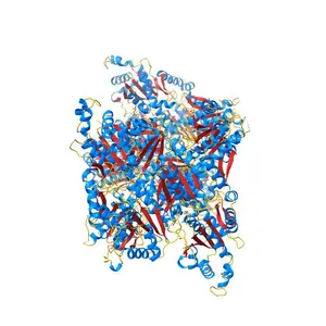 Ligand-free structure of human platelet phosphofructokinase in an R-state, crystal form I