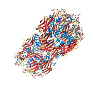 The Structure and Evolution of the Major Capsid Protein of a Large, Lipid-containing, DNA virus.
