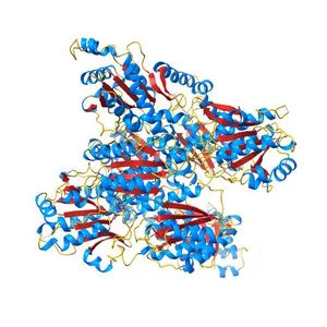 Ligand-free structure of human platelet phosphofructokinase in an R-state, crystal form I