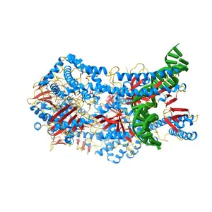 CRYSTAL STRUCTURE TAQ MUTS COMPLEXED WITH A HETERODUPLEX DNA AT 2.2 A RESOLUTION