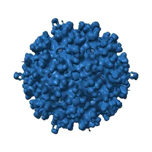Electron Cryo-microscopy of Venezuelan Equine Encephalitis Virus TC-83 in complex with neutralizing antibody Fab F5