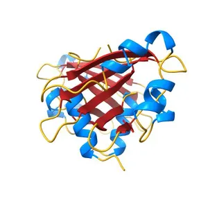 Adaptor dependent degradation of a cell-cycle regulator reveals diversity in substrate architectures