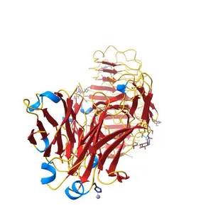 Crystal structure of the TSH receptor in complex with a thyroid-stimulating autoantibody
