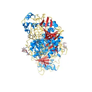 Crystal Structure of Recombinant Human Acetylcholinesterase in Complex with Donepezil