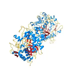 CRYSTAL STRUCTURE OF THE MAIZE ZM-P60.1 BETA-GLUCOSIDASE