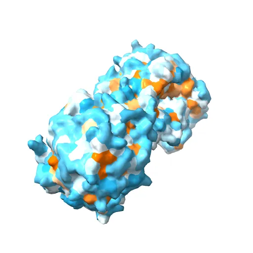 CRYSTAL STRUCTURE OF THE MAIZE ZM-P60.1 BETA-GLUCOSIDASE — Фото 2 из 13