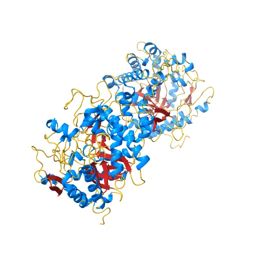 CRYSTAL STRUCTURE OF THE MAIZE ZM-P60.1 BETA-GLUCOSIDASE — Фото 3 из 13