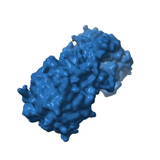 CRYSTAL STRUCTURE OF THE MAIZE ZM-P60.1 BETA-GLUCOSIDASE — Фото 4 из 13