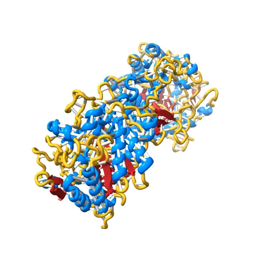 CRYSTAL STRUCTURE OF THE MAIZE ZM-P60.1 BETA-GLUCOSIDASE — Фото 5 из 13