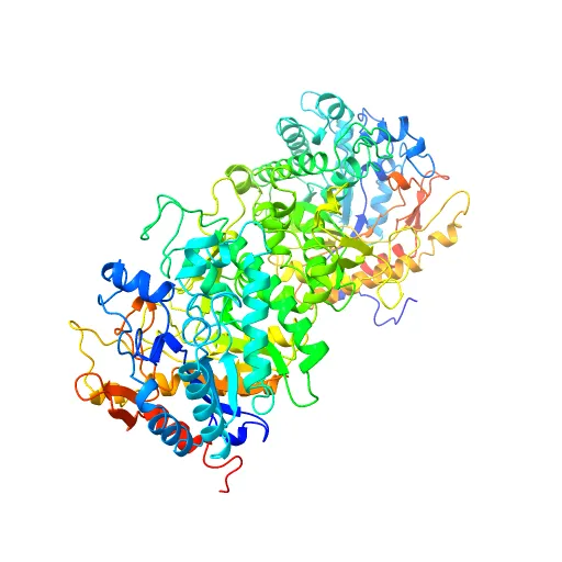 CRYSTAL STRUCTURE OF THE MAIZE ZM-P60.1 BETA-GLUCOSIDASE — Фото 6 из 13