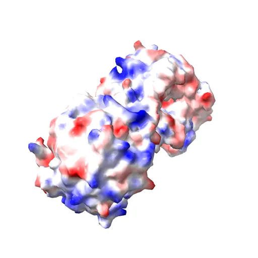CRYSTAL STRUCTURE OF THE MAIZE ZM-P60.1 BETA-GLUCOSIDASE — Фото 7 из 13