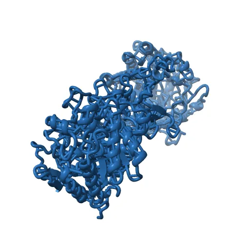 CRYSTAL STRUCTURE OF THE MAIZE ZM-P60.1 BETA-GLUCOSIDASE — Фото 8 из 13