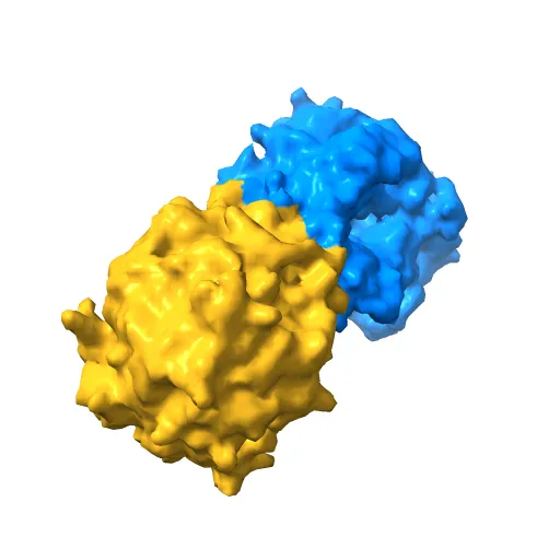 CRYSTAL STRUCTURE OF THE MAIZE ZM-P60.1 BETA-GLUCOSIDASE — Фото 13 из 13