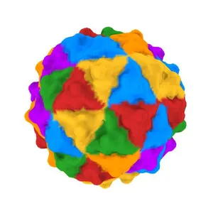 Crystal structure of the authentic Flock House virus particle