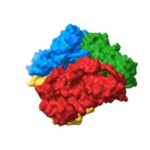 E. COLI (lacZ) BETA-GALACTOSIDASE IN COMPLEX WITH 2-F-LACTOSE
