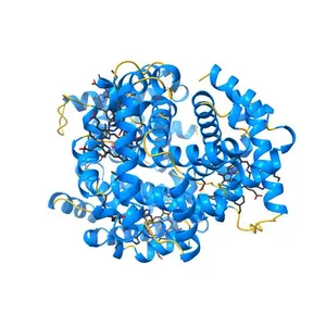 Glycation restrains allosteric transition in hemoglobin: The molecular basis of oxidative stress under hyperglycemic conditions in diabetes