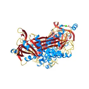 CRYSTAL STRUCTURE OF UNCLEAVED OVALBUMIN AT 1.95 ANGSTROMS RESOLUTION