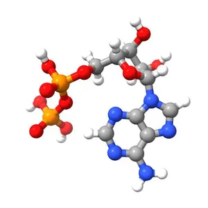 Adenosine-5'-diphosphate