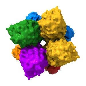 GLUCOSIDASE A FROM BACILLUS POLYMYXA COMPLEXED WITH GLUCONATE