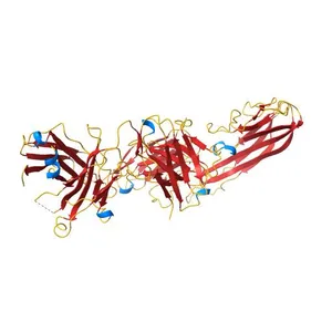 Crystal structure of TNFalpha in complex with Adalimumab Fab fragment