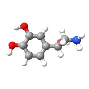 Norepinephrine