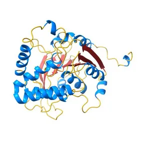 Crystal Structure of homoserine o-acetyltransferase from Staphylococcus aureus