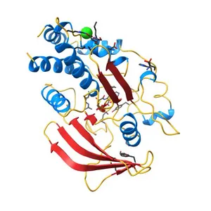 Protein Tyrosine Phosphatase 1B Delta helix 7, P185G mutant in complex with TCS401, open state