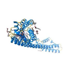 Crystal structure of P2Y12 receptor in complex with 2MeSADP