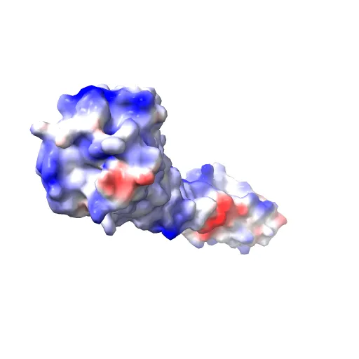 Crystal structure of P2Y12 receptor in complex with 2MeSADP — Фото 2 из 13