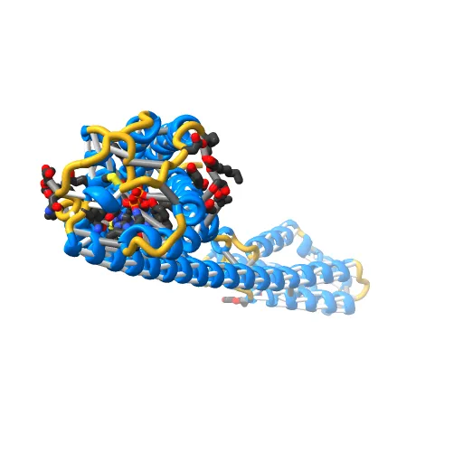 Crystal structure of P2Y12 receptor in complex with 2MeSADP — Фото 3 из 13