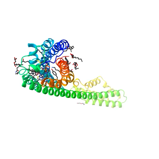 Crystal structure of P2Y12 receptor in complex with 2MeSADP — Фото 4 из 13