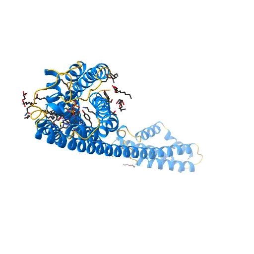 Crystal structure of P2Y12 receptor in complex with 2MeSADP — Фото 5 из 13
