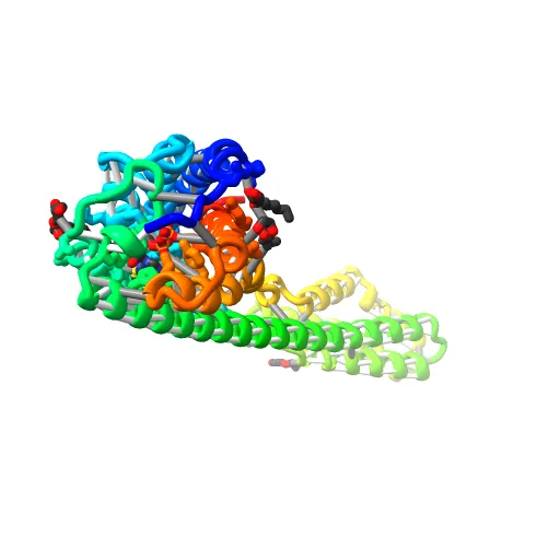 Crystal structure of P2Y12 receptor in complex with 2MeSADP — Фото 6 из 13