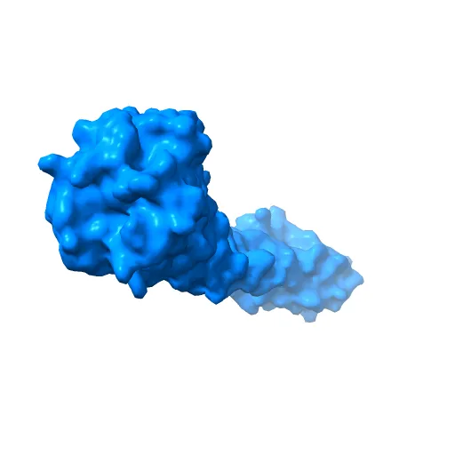 Crystal structure of P2Y12 receptor in complex with 2MeSADP — Фото 7 из 13