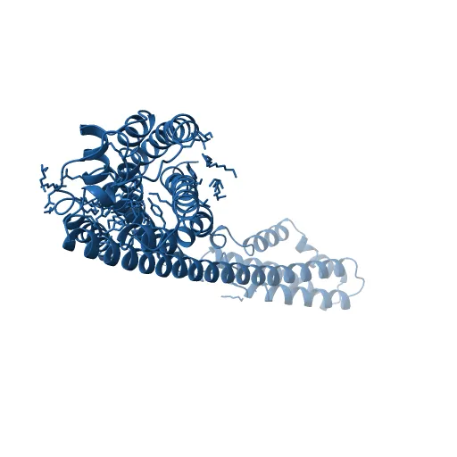 Crystal structure of P2Y12 receptor in complex with 2MeSADP — Фото 9 из 13