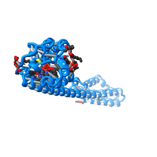Crystal structure of P2Y12 receptor in complex with 2MeSADP — Фото 11 из 13