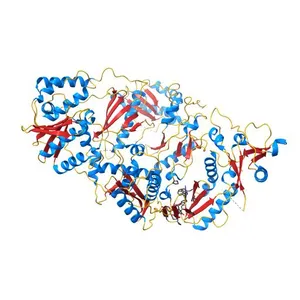 Crystal Structure of HIV-1 Reverse Transcriptase in Complex with 7-(2-(2-(2,4-dioxo-3,4-dihydropyrimidin-1(2H)-yl)ethoxy)phenoxy)-2-naphthonitrile (JLJ649), a Non-nucleoside Inhibitor
