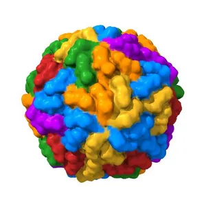 Structure of the L-A virus