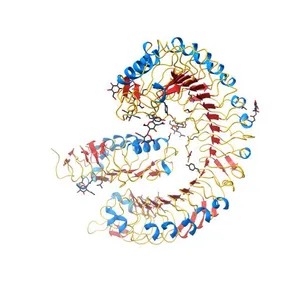 Crystal structure of the Arabidopsis receptor kinase HAESA in complex with the peptide hormone IDA and the co-receptor SERK1