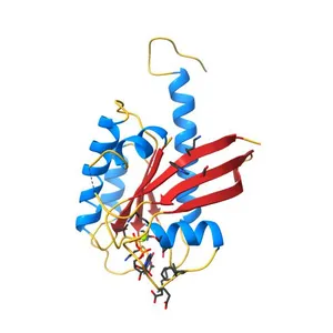 Small-molecule ligands bind to a distinct pocket in Ras and inhibit SOS-mediated nucleotide exchange activity