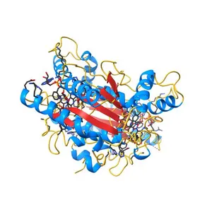 Human quinone oxidoreductase 2 (NQO2) in complex with the cytostatic prodrug CB1954