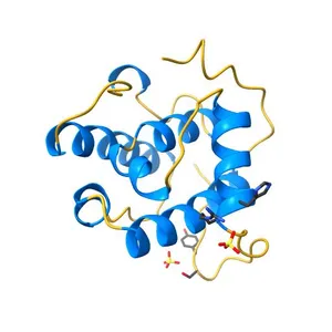 Crystal structure of amino-terminal microtubule binding domain of EB1